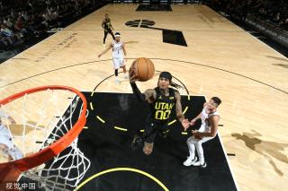 职业经历 职业经历